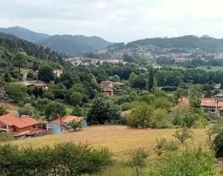 Abuhardillado En Pueblo Asturiano *